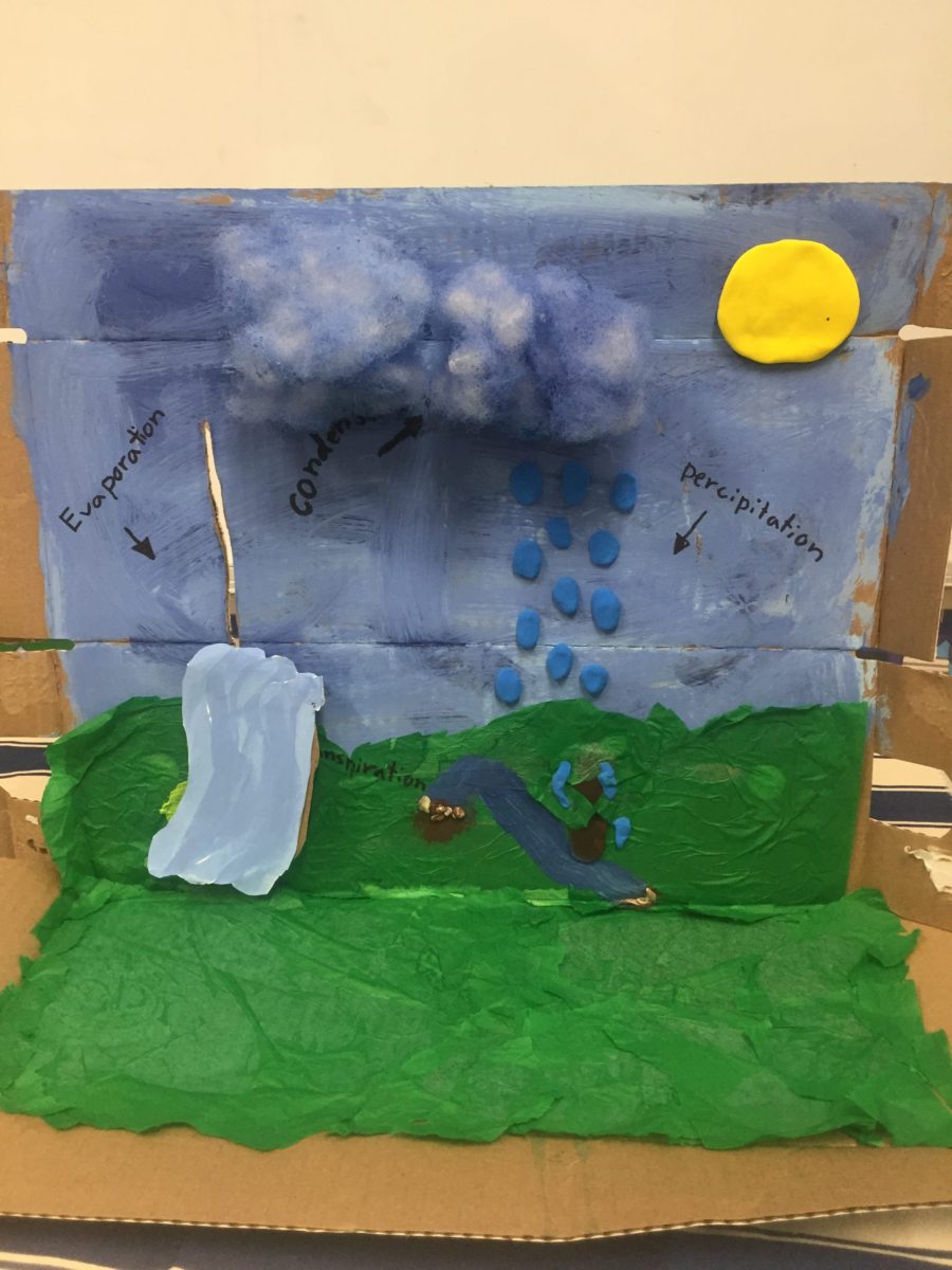 Water Cycle projects - Charlotte Jewish Day School diagram of precipitation 